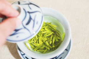 From Vitamin C to Antioxidants - Why Spring Tea is the Perfect Beverage for You