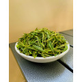 An Ji Bai Cha Green Tea