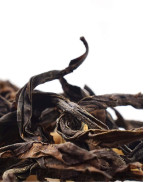 Da Hong Pao (Big Red Robe) Wuyi Rock Oolong Tea