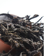 Old Tree Lao Cong Shui Xian Oolong Tea