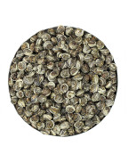 White Jasmine Pearls Scented Green Tea