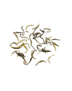 Rare Yuan-an Lu yuan Yellow Tea