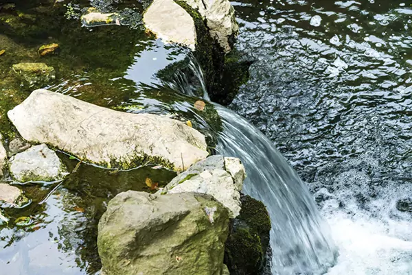 Mountain Spring Water