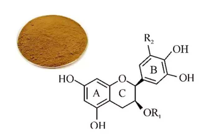 Tea Polyphenols