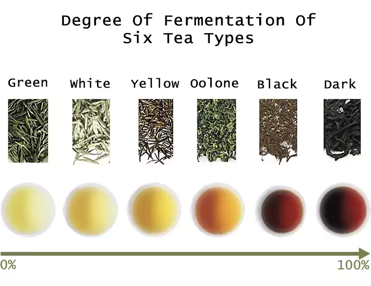 Comparison Of Fermentation Degree Of Six Major Tea Types
