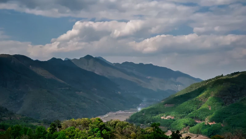 Tea Mountains In Yunnan