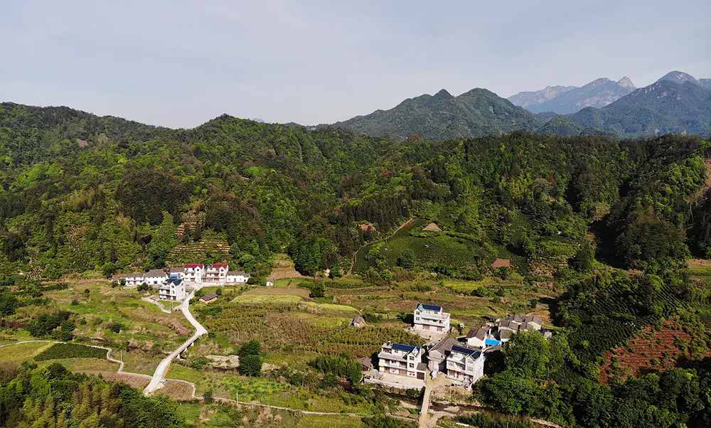 A small village where Qimen black tea is grown