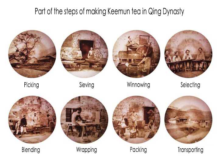 Part of the steps of making keemun tea in qing dynasty