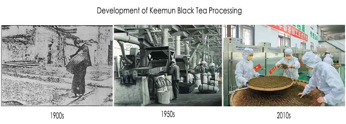 Comparison Of Traditional And New Types Of Keemun Black Tea