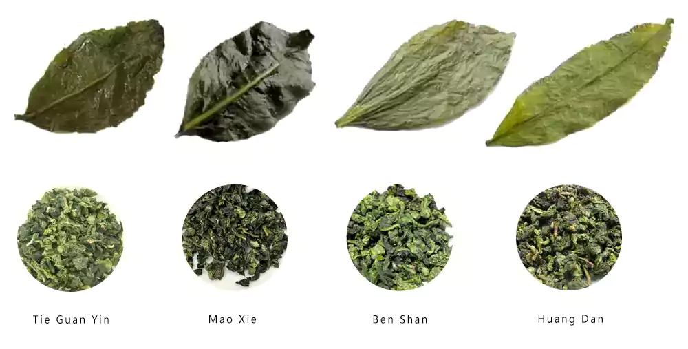 Comparison Of Several Kinds Of Oolong Teas